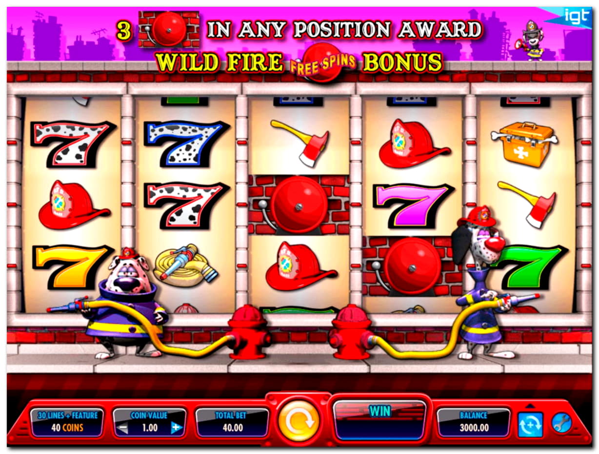 265% Best Signup Bonus Casino at Miamidice Casino