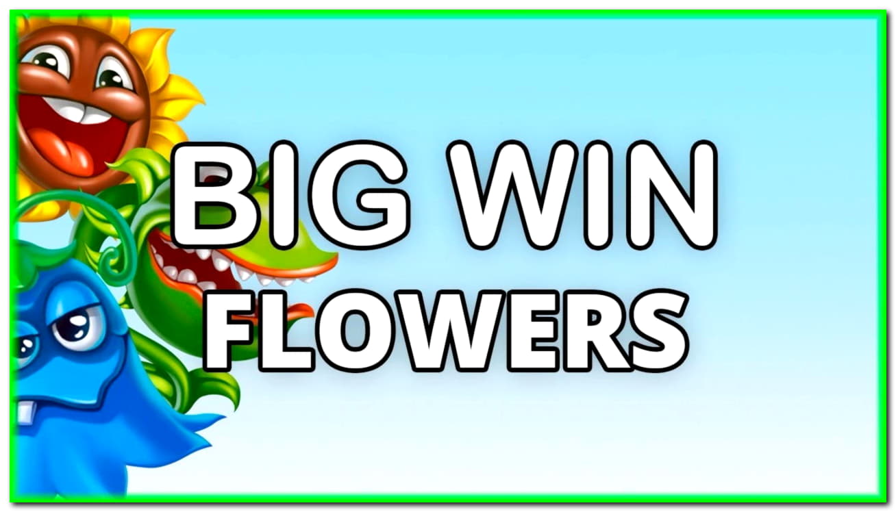 240 FREE Spins at Casino Action