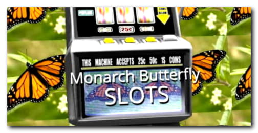 EUR 930 Free Casino Tournament at BranGo Casino