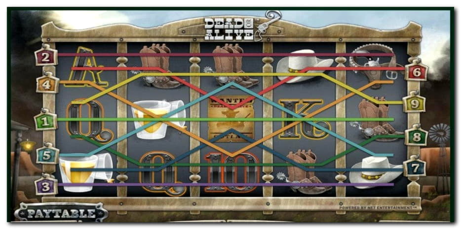 $275 Free Cash at Wild Slots Casino