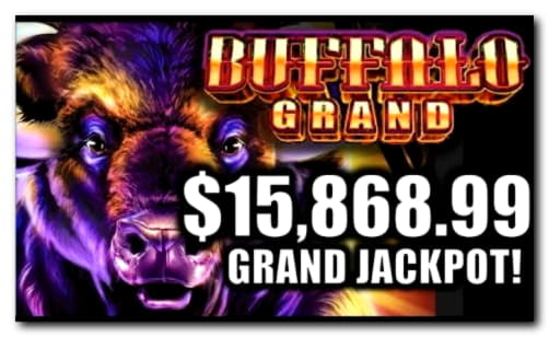 €715 Daily freeroll slot tournament at Slotty Vegas Casino