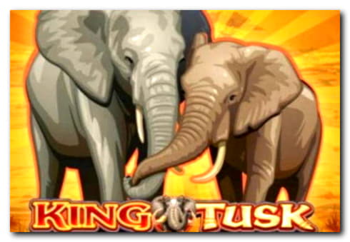 £4770 No deposit casino bonus at Slotty Dubai Casino