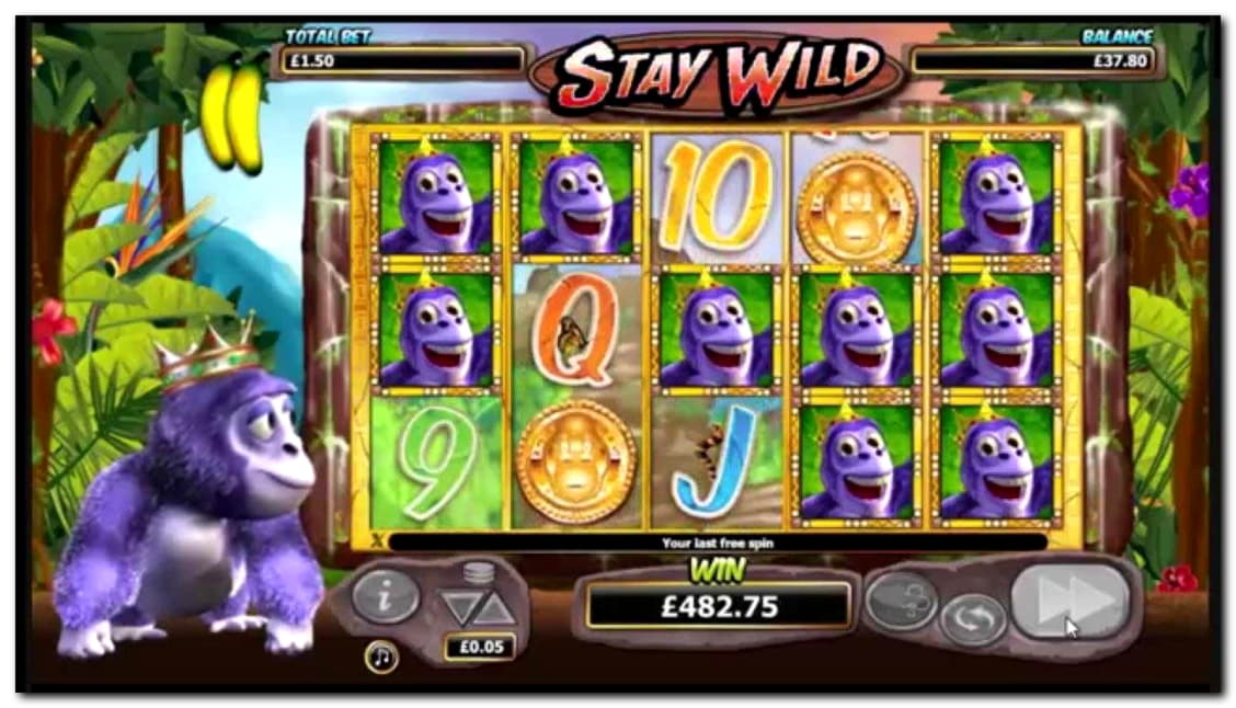 $885 Online Casino Tournament at Miamidice Casino