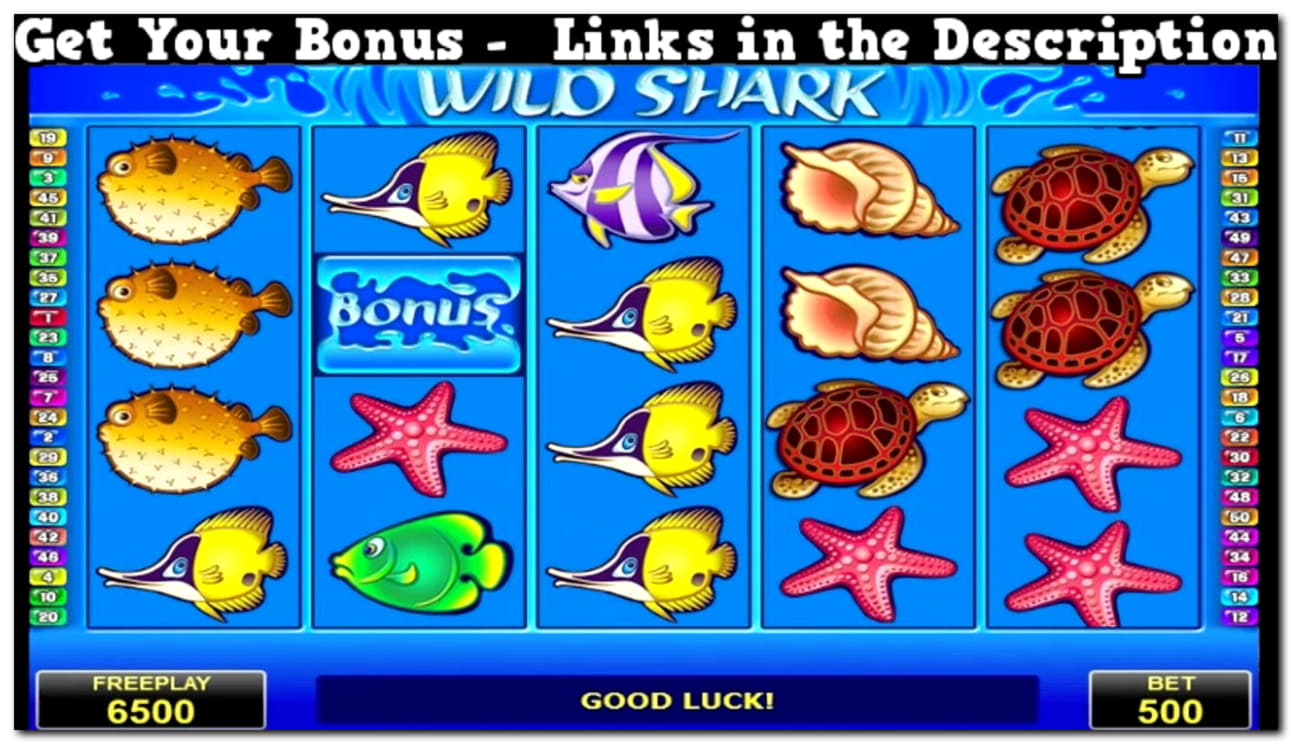 490% First deposit bonus at Trada Casino