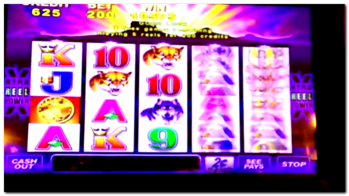 €4245 no deposit at Mobile Bet Casino