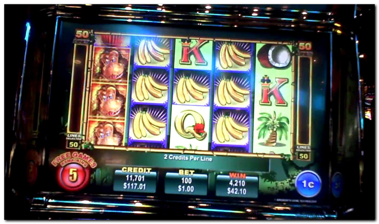 ﻿$1240 No deposit bonus at Miamidice Casino