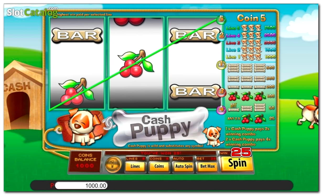 990% casino match bonus at Casino Action