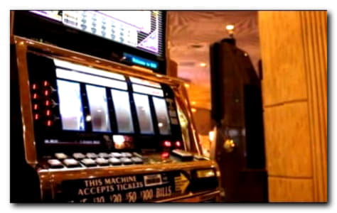 50 Free Spins Casino at Miamidice Casino