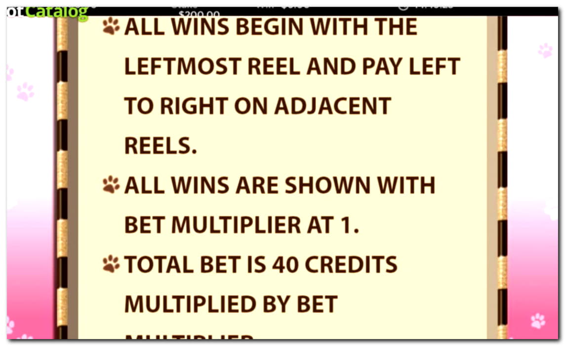 €340 Casino Tournament at Casino Luck