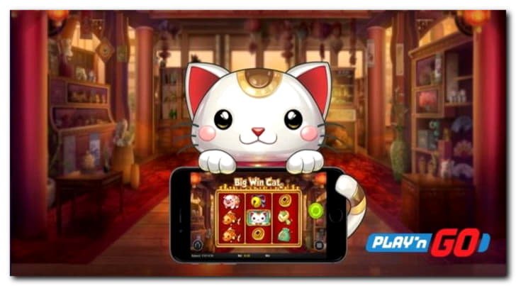 $230 Casino Tournament at Mega Casino