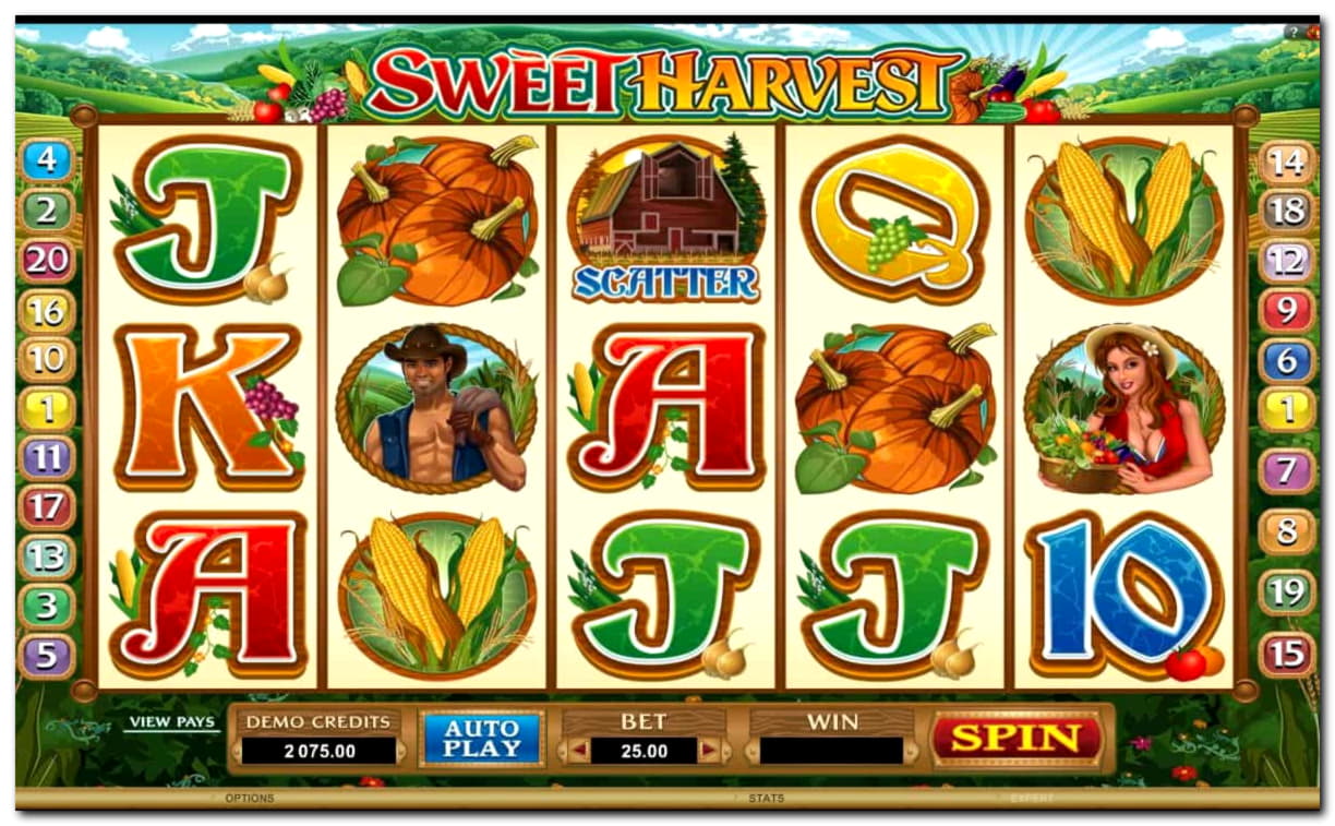 EUR 3685 NO DEPOSIT BONUS CODE at Wild Slots Casino