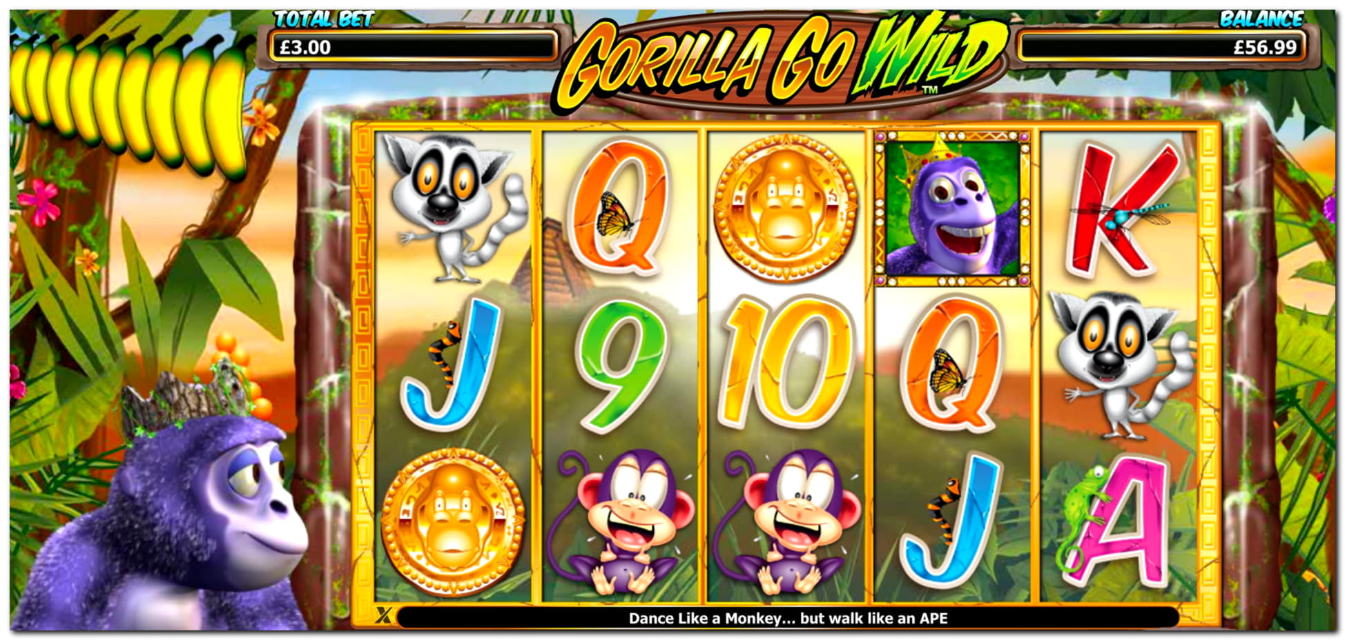 800% Casino Welcome Bonus at Casino Share