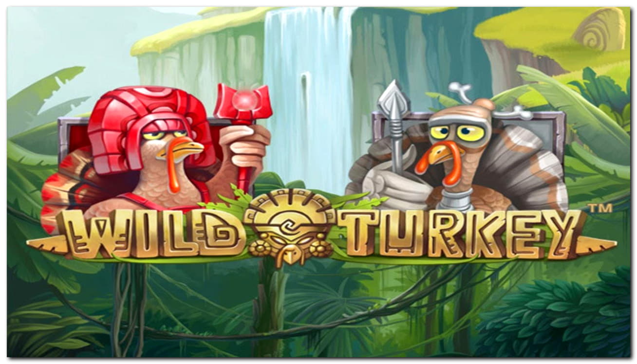 620% Best Signup Bonus Casino at Dunder Casino