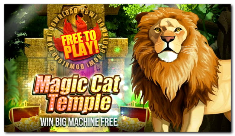 €780 Tournament at Dafa Bet Casino