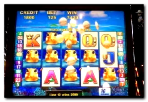 185 Free Spins right now at Slotty Dubai Casino