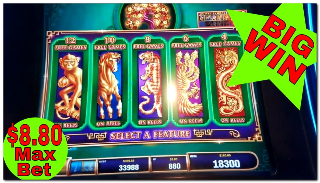 EUR 235 Daily freeroll slot tournament at Casino Classic