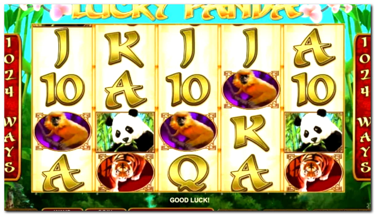 525% Welcome Bonus at Casino Action
