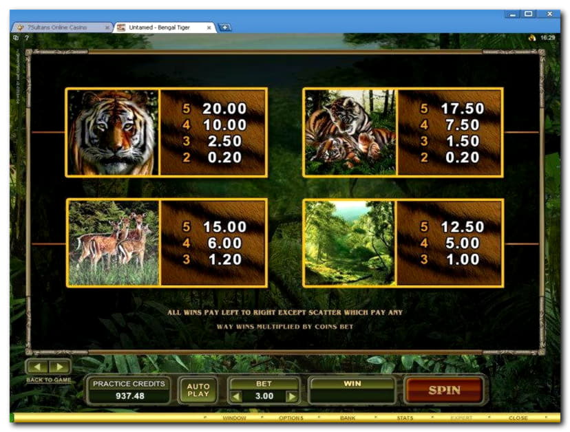 EURO 980 Daily freeroll slot tournament at Casino Action