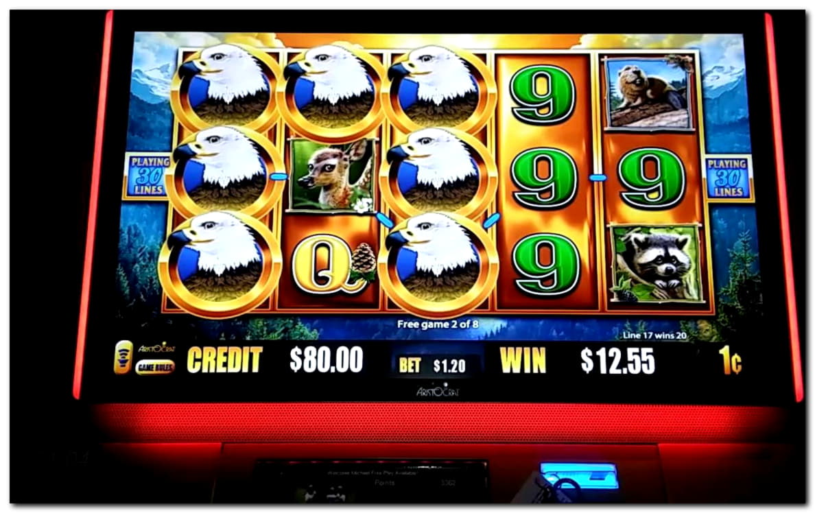 295 Free spins no deposit casino at Dafa Bet Casino