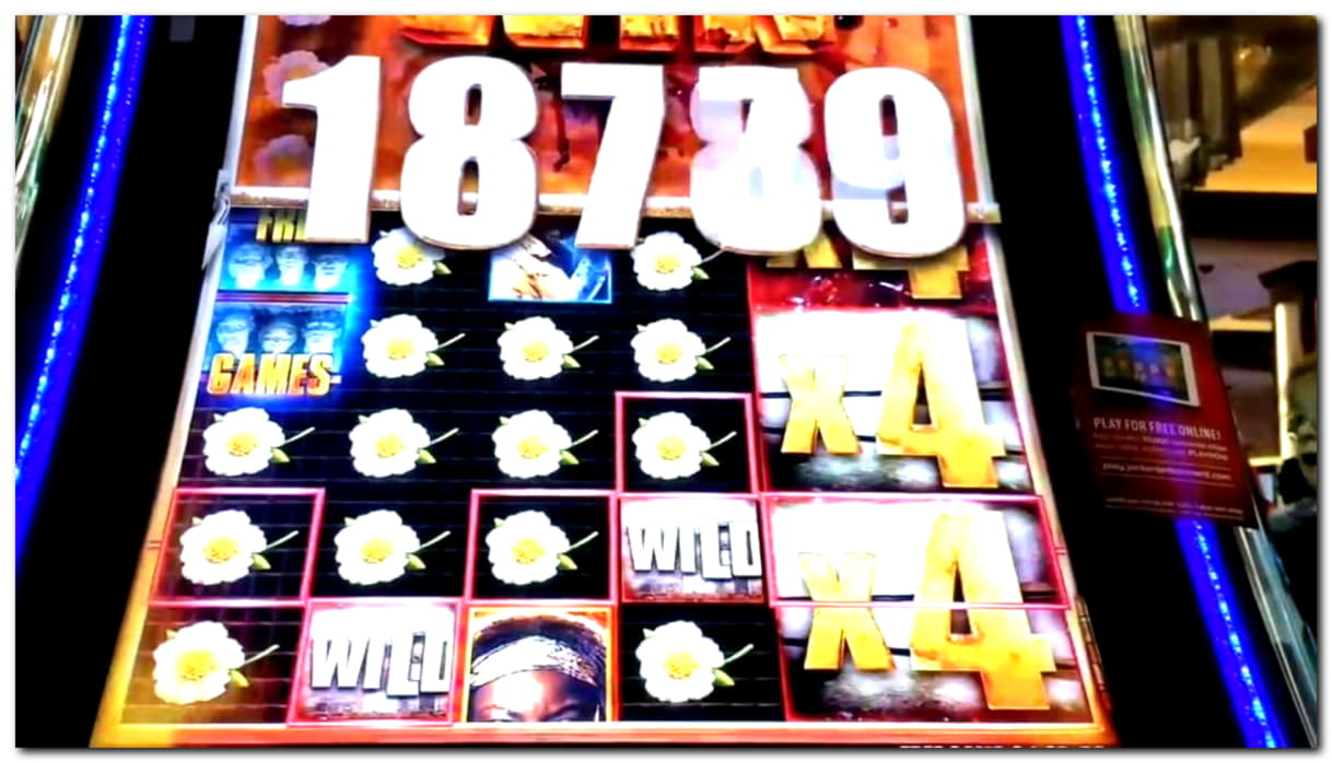 11 Free spins casino at Trada Casino