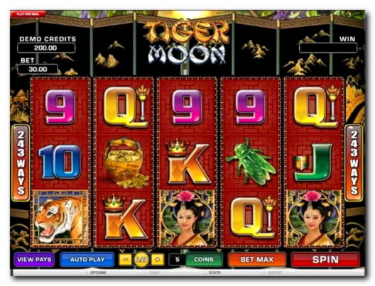 495% Match at a casino at 24 VIP Casino
