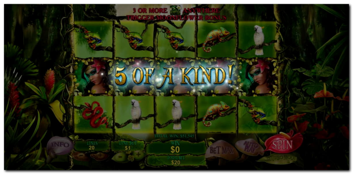 265 free spins casino at Mobile Bet Casino