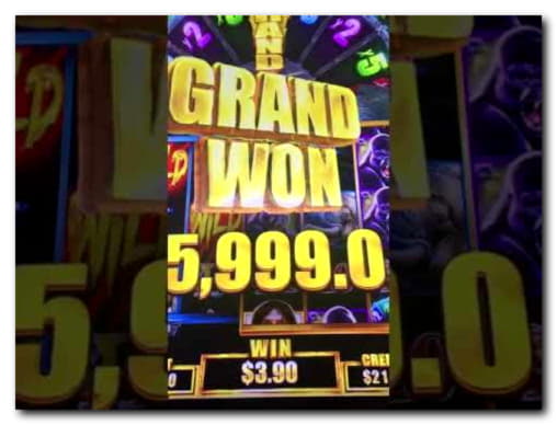 55 free spins no deposit casino at Superior Casino