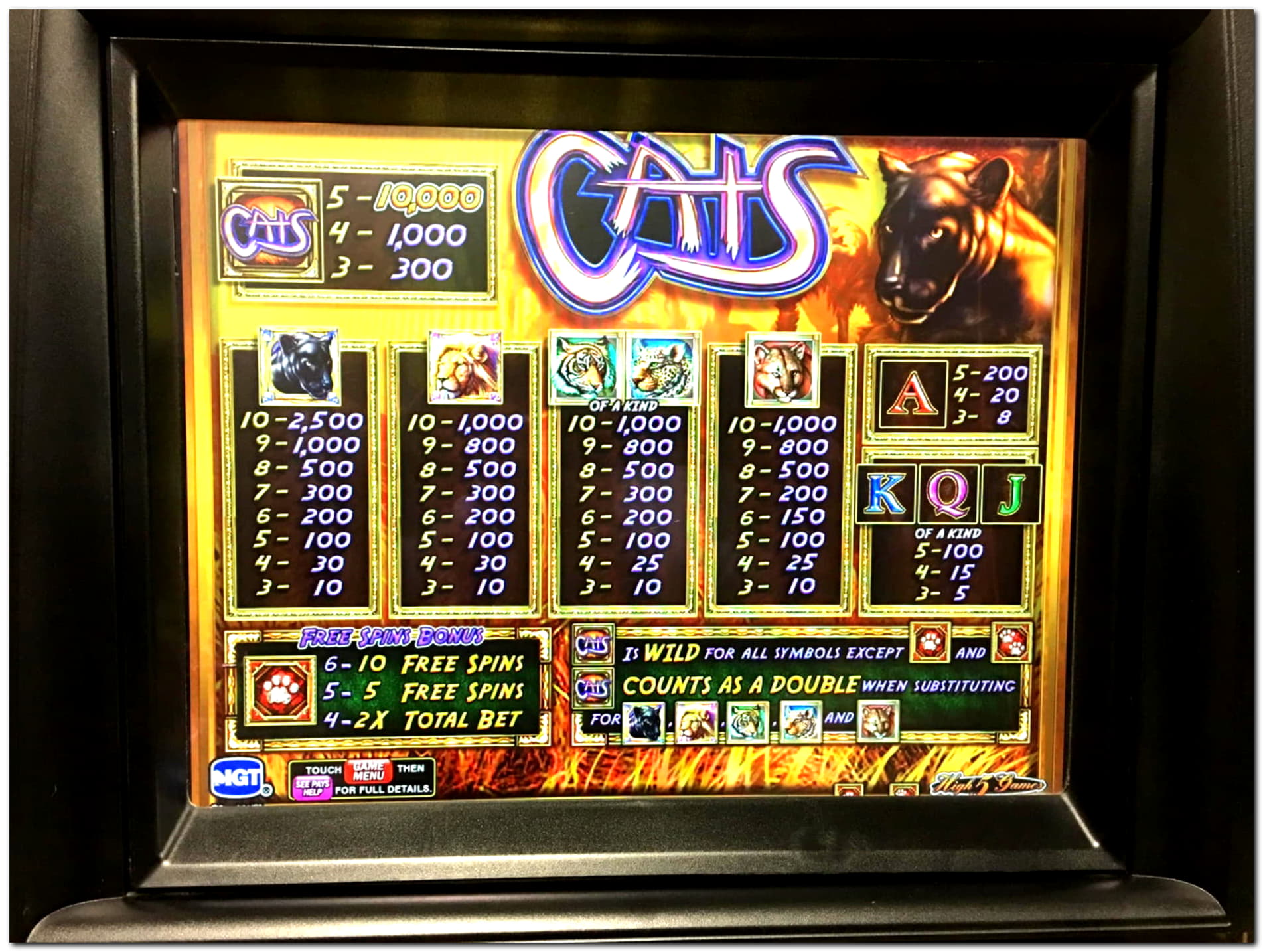 EURO 590 free chip casino at Wild Slots Casino