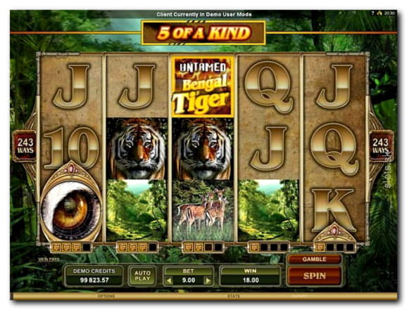 $420 Casino Chip at Casino Classic