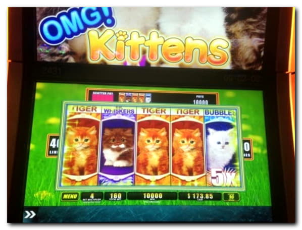 210 Free Spins no deposit at Casino Share