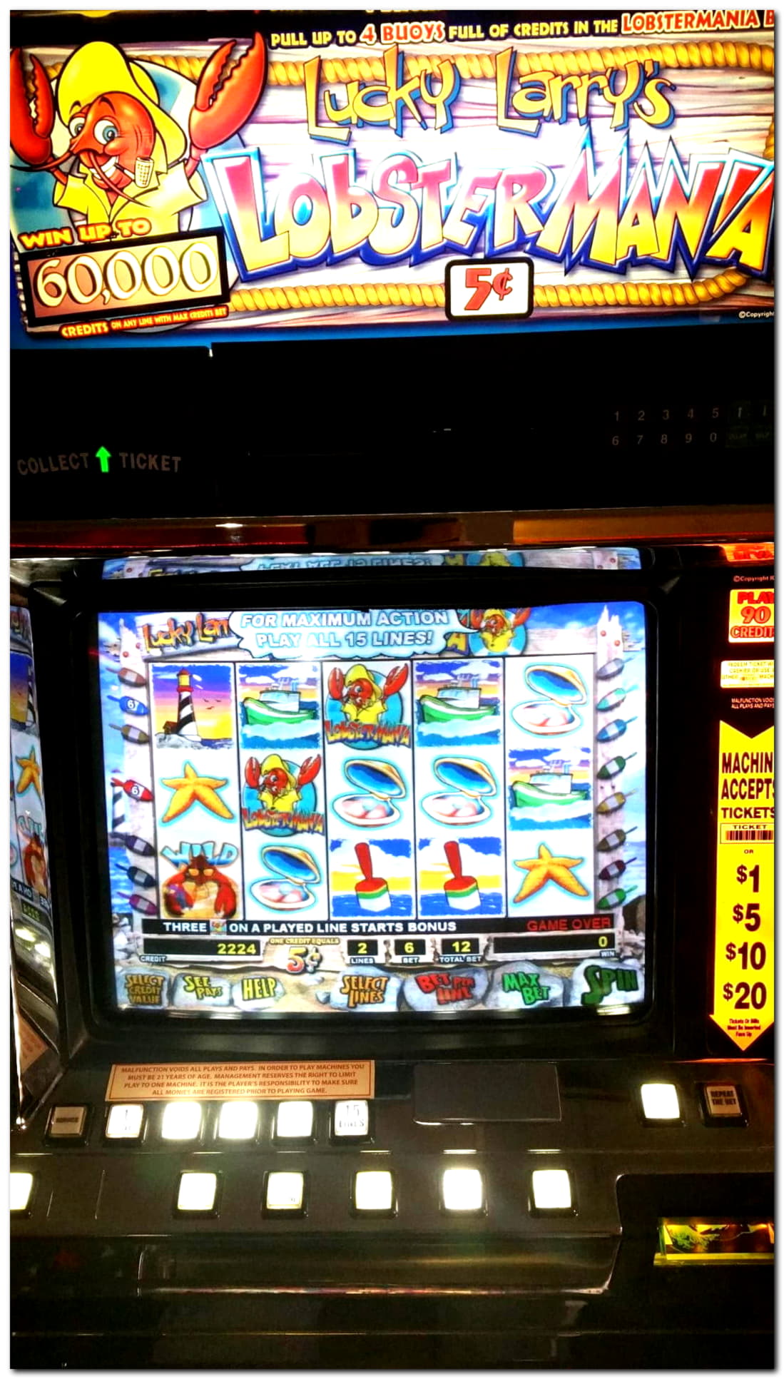 800% Best Signup Bonus Casino at Mobile Bet Casino