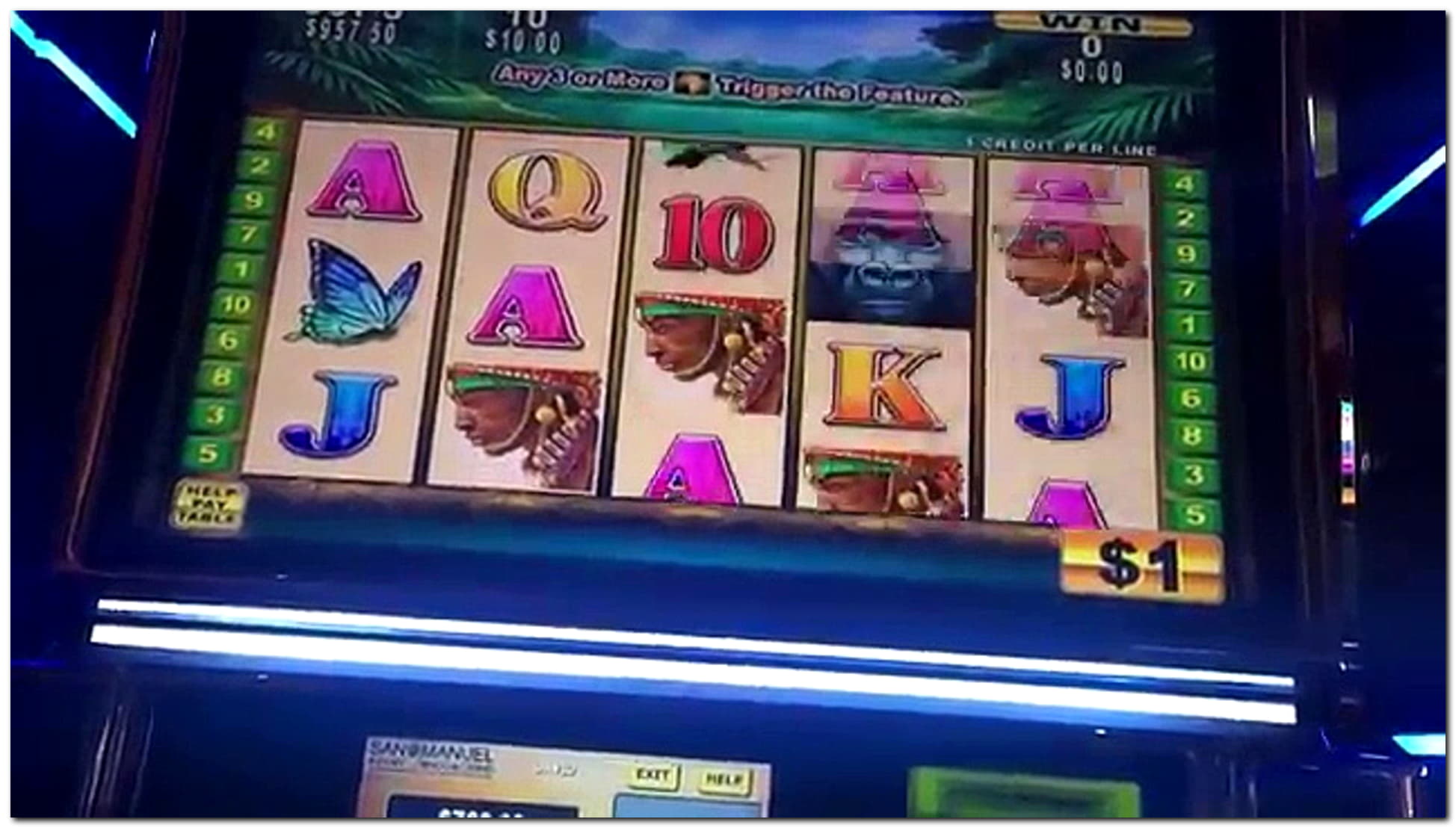335% Deposit match bonus at BranGo Casino