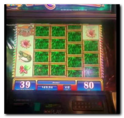 €330 FREE CHIP CASINO at Lucky Emperor Casino