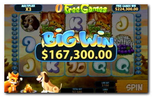 €444 No deposit bonus at Dafa Bet Casino