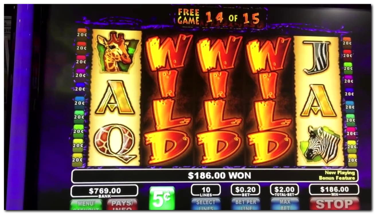 66 Loyal Free Spins! at Dafa Bet Casino