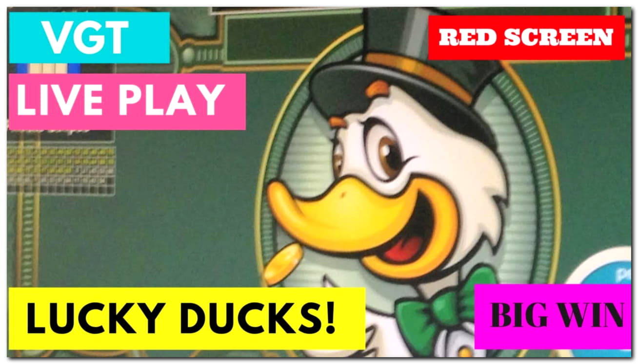 85 Loyalty Free Spins! at Miamidice Casino