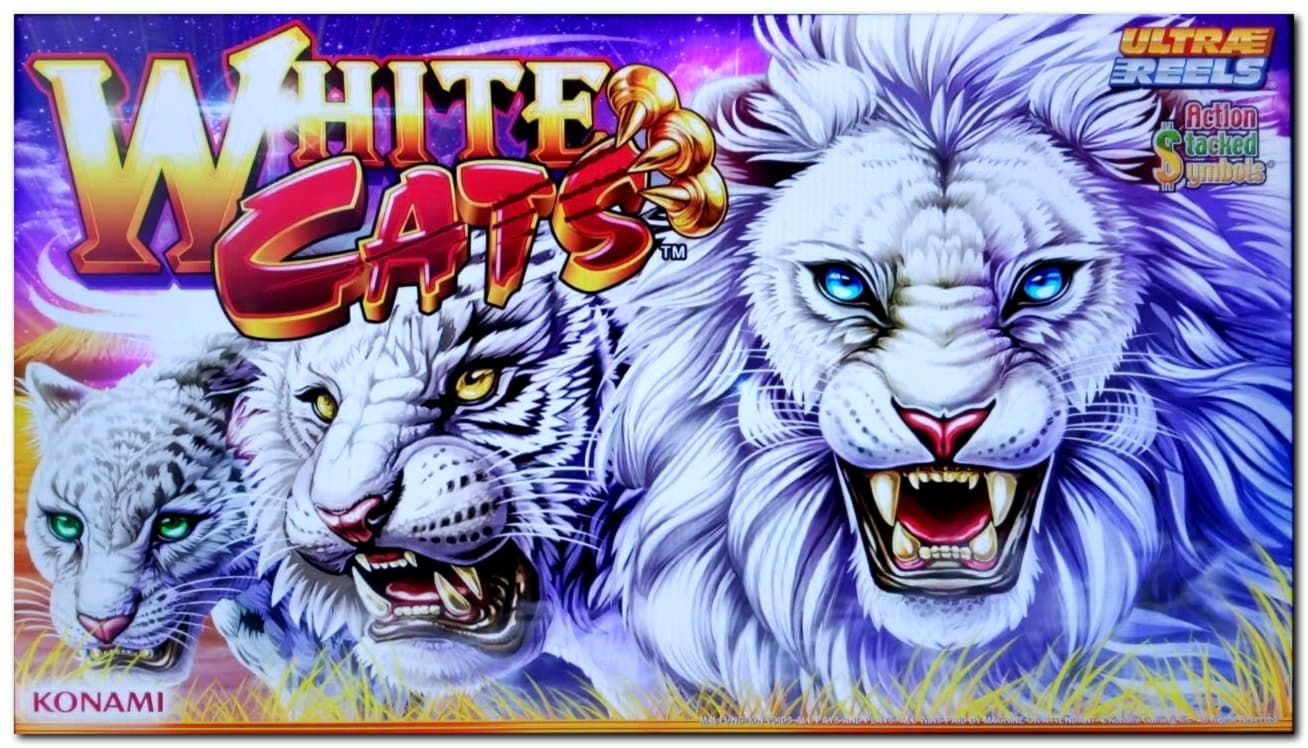 230 free spins casino at Finland Casino 