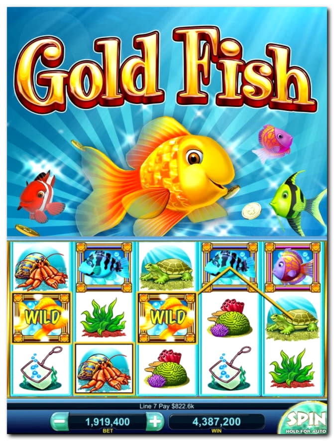 €795 Free Casino Tournament at Miamidice Casino