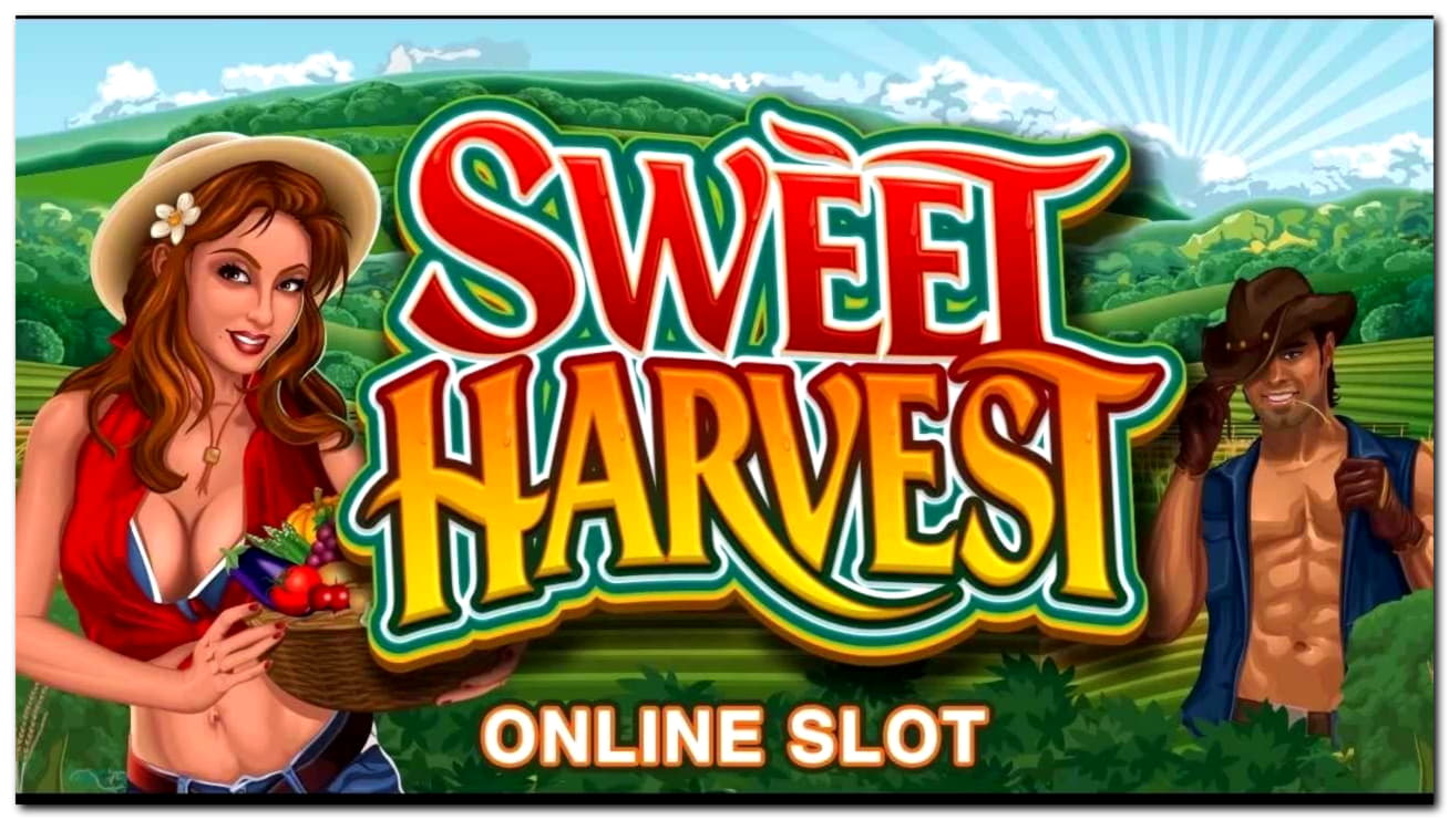 £3835 No Deposit Bonus Code at Win A Day Casino