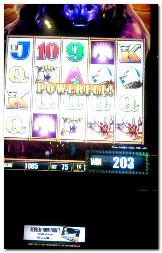 725% First deposit bonus at Slotty Dubai Casino