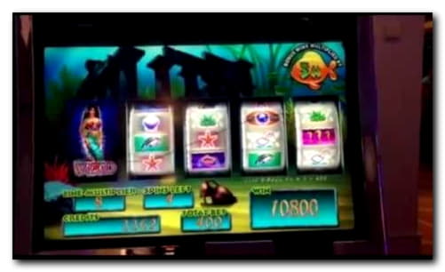 65 free spins no deposit casino at Wild Slots Casino