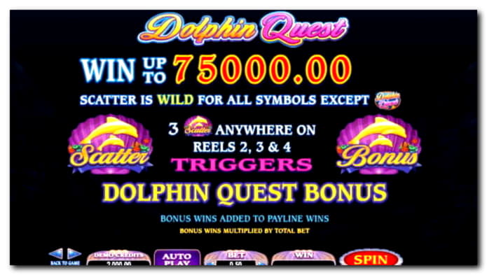 300 Loyal Free Spins! at Dafa Bet Casino