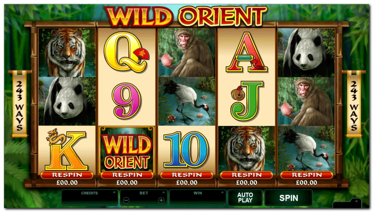 255 Loyalty Free Spins! at Dafa Bet Casino