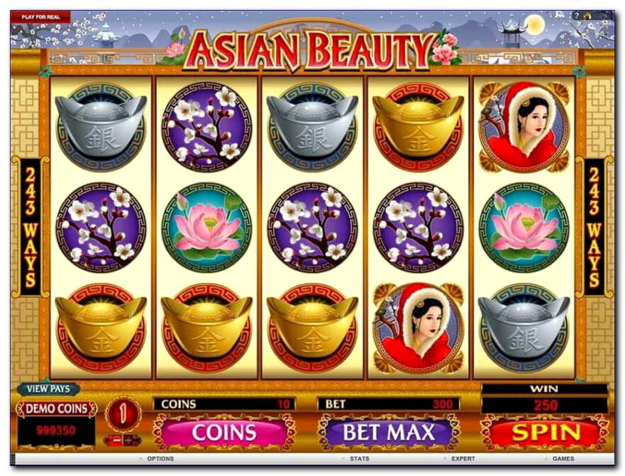 €480 Daily freeroll slot tournament at Wild Slots Casino