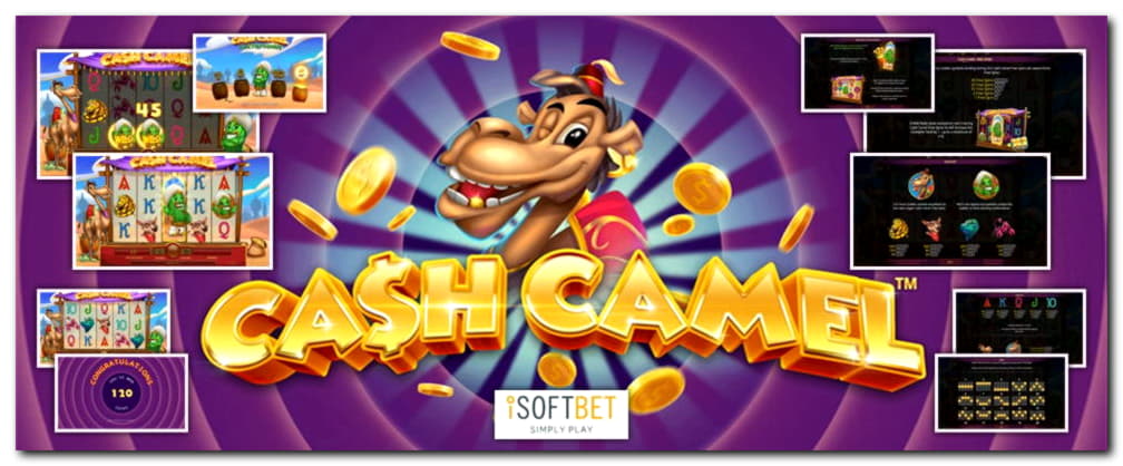 85% Match Bonus at Dafa Bet Casino