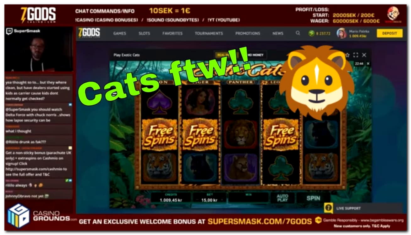 €490 free chip casino at BranGo Casino