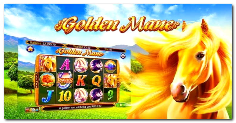 EUR 330 Daily freeroll slot tournament at Genesis Casino