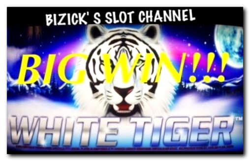 65 Free spins no deposit at Wild Slots Casino