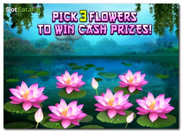 715% Casino Welcome Bonus at 24 VIP Casino