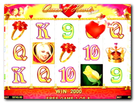 $935 No deposit bonus casino at Dafa Bet Casino